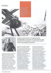 Caporali ville&casali the best of Russia gennaio 2015 (2)